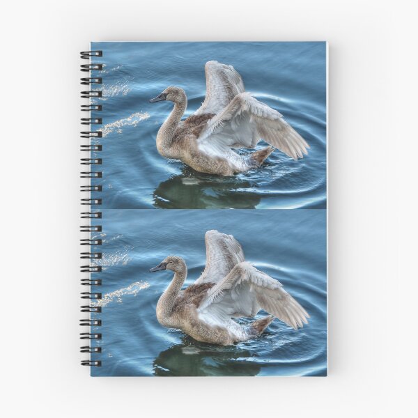 Item preview, Cygnet  designed and sold by Steve H Clark.