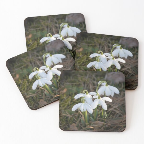 Item preview, snowdrop designed and sold by Katja LebenFreude.