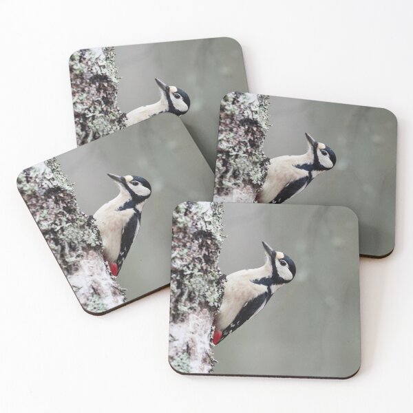 Item preview, Great spotted woodpecker November pose designed and sold by Jouko Lehto Photography.