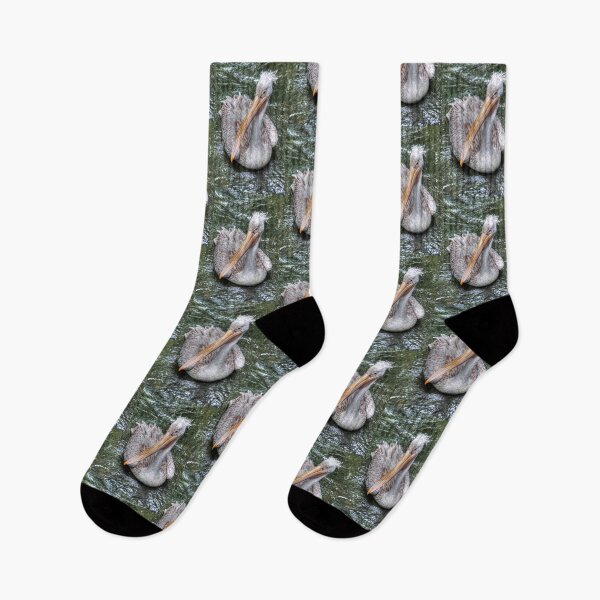 Item preview, Spot Billed Pelican designed and sold by Steve H Clark.