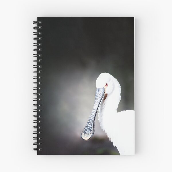 Item preview, Eurasian Spoonbill designed and sold by Thomas F. Gehrke.