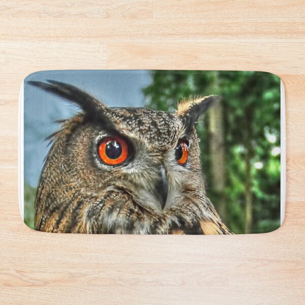Item preview, Long Eared Owl designed and sold by Steve H Clark.