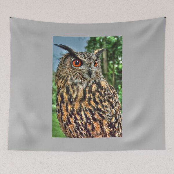 Item preview, Long Eared Owl designed and sold by Steve H Clark.