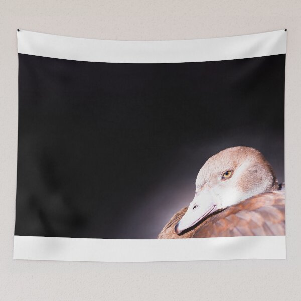 Item preview, Egyptian Goose juvenile designed and sold by Thomas F. Gehrke.