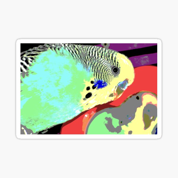 Budgie and mirror Sticker