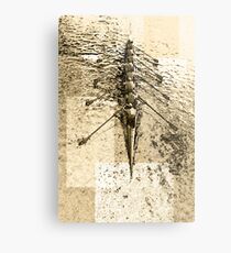 Art of Rowing Metal Print