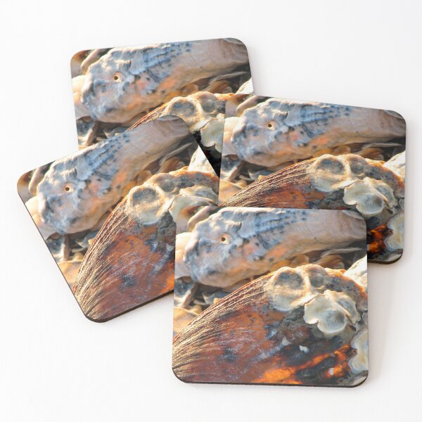 Item preview, June Beach designed and sold by Elizabeth "Tibby" Steedly.