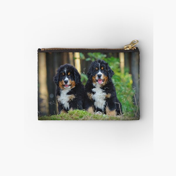Item preview, Bernese Mountain Dog puppies designed and sold by PetsArt.