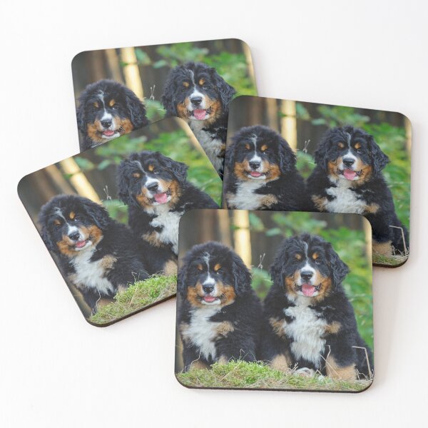Item preview, Bernese Mountain Dog puppies designed and sold by PetsArt.