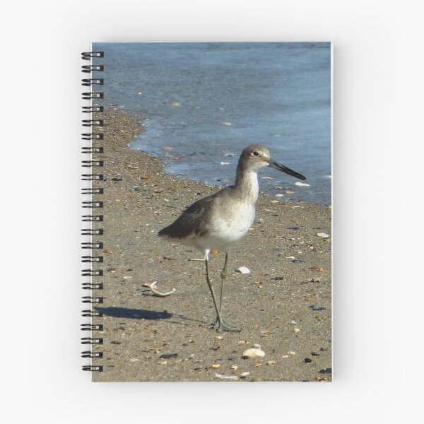 Item preview, Wild Willet Walking designed and sold by Elizabeth "Tibby" Steedly.