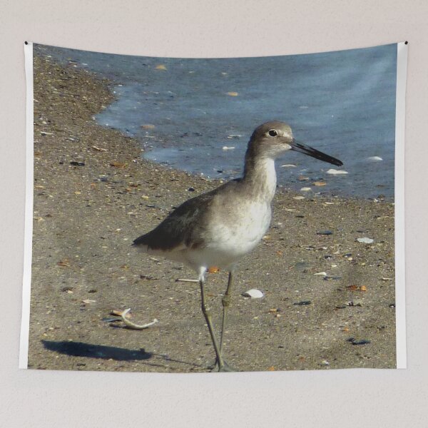 Item preview, Wild Willet Walking designed and sold by Elizabeth "Tibby" Steedly.
