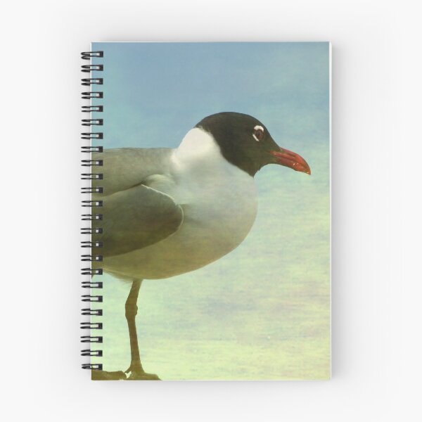 Item preview, Laughing Gull designed and sold by Elizabeth "Tibby" Steedly.