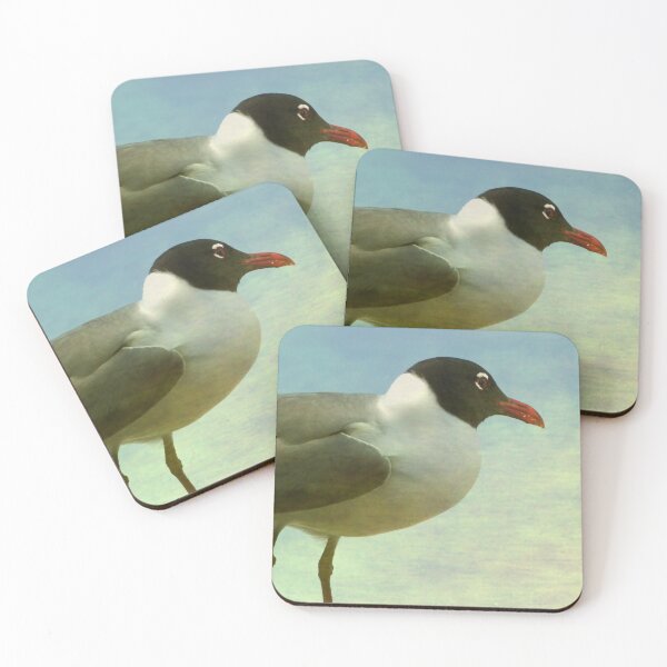 Item preview, Laughing Gull designed and sold by Elizabeth "Tibby" Steedly.