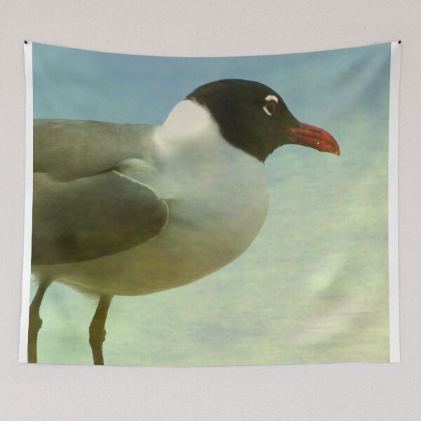 Item preview, Laughing Gull designed and sold by Elizabeth "Tibby" Steedly.