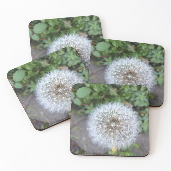 Item preview, Dandelion designed and sold by Jessie Williams.