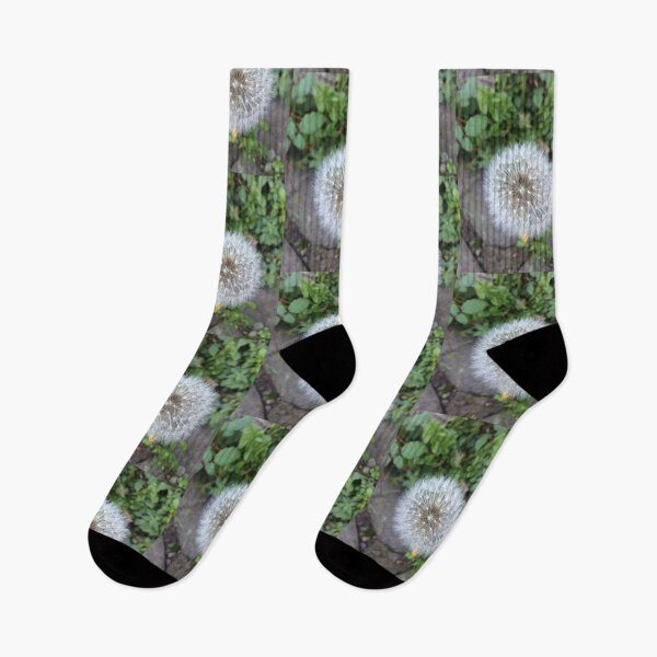Item preview, Dandelion designed and sold by Jessie Williams.