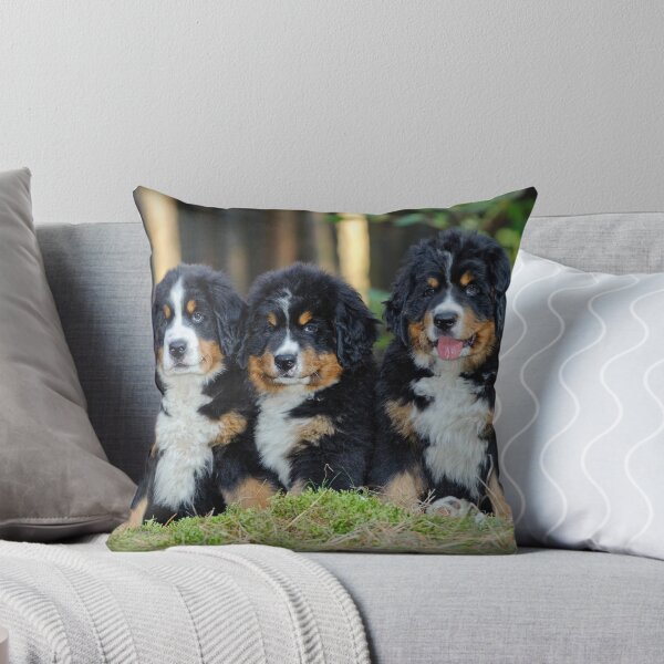Aperçu de l'œuvre Chiots bouvier bernois créée et vendue par PetsArt.
