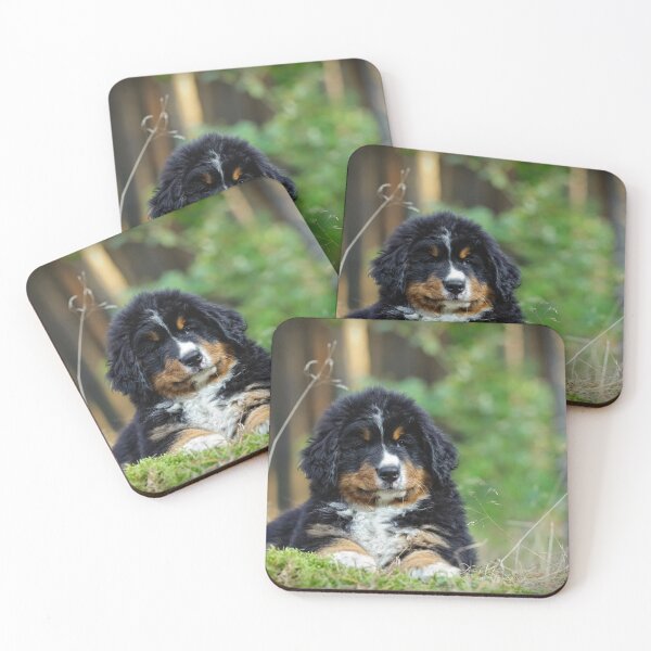 Item preview, Bernese Mountain Dog puppy designed and sold by PetsArt.