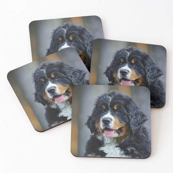 Item preview, Bernese Mountain Dog puppy  designed and sold by PetsArt.
