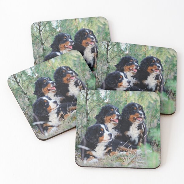 Item preview, Bernese Mountain Dog puppies designed and sold by PetsArt.