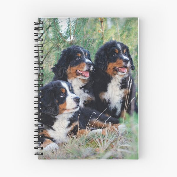 Item preview, Bernese Mountain Dog puppies designed and sold by PetsArt.