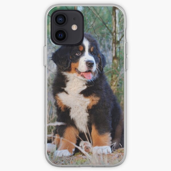 Bernese Mountain Dog puppy iPhone Soft Case