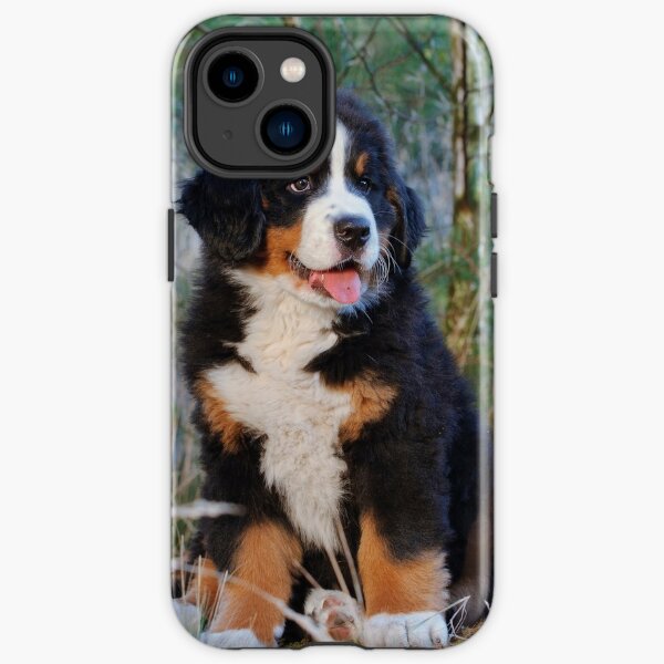 Bernese Mountain Dog puppy iPhone Tough Case