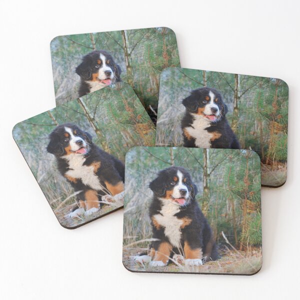 Item preview, Bernese Mountain Dog puppy designed and sold by PetsArt.