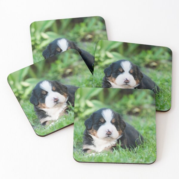 Item preview, Bernese Mountain Dog puppy designed and sold by PetsArt.
