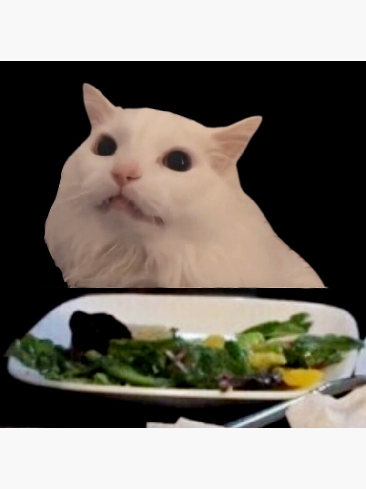 Cat Sitting at Table Meme