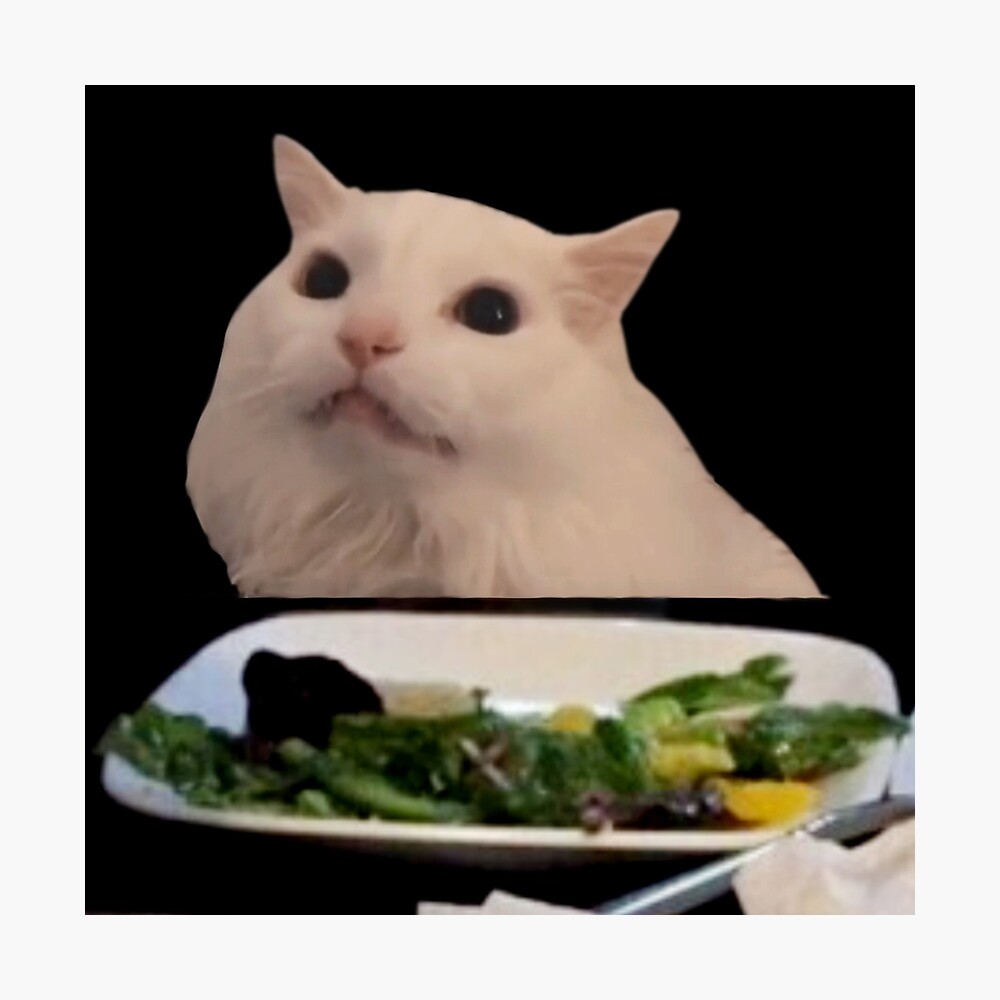 Cat Table Meme Template