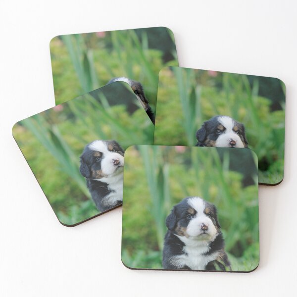 Item preview, Bernese Mountain Dog puppy designed and sold by PetsArt.