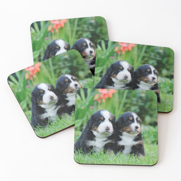 Item preview, Bernese Mountain Dog puppies designed and sold by PetsArt.
