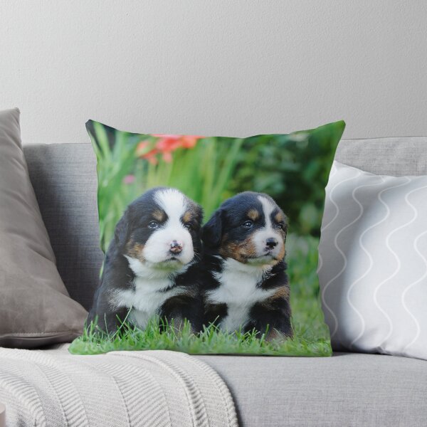 Aperçu de l'œuvre Chiots bouvier bernois créée et vendue par PetsArt.