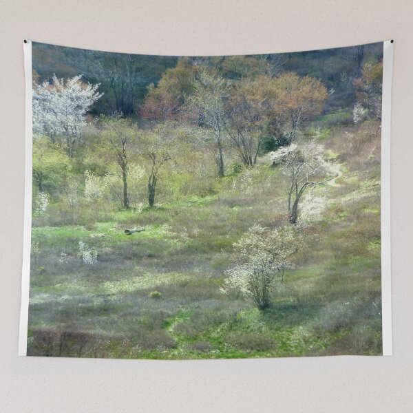 Item preview, Graveyard Fields Spring designed and sold by Elizabeth "Tibby" Steedly.