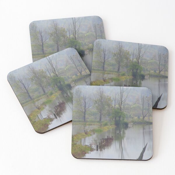 Item preview, Where are the Cows? designed and sold by Elizabeth "Tibby" Steedly.