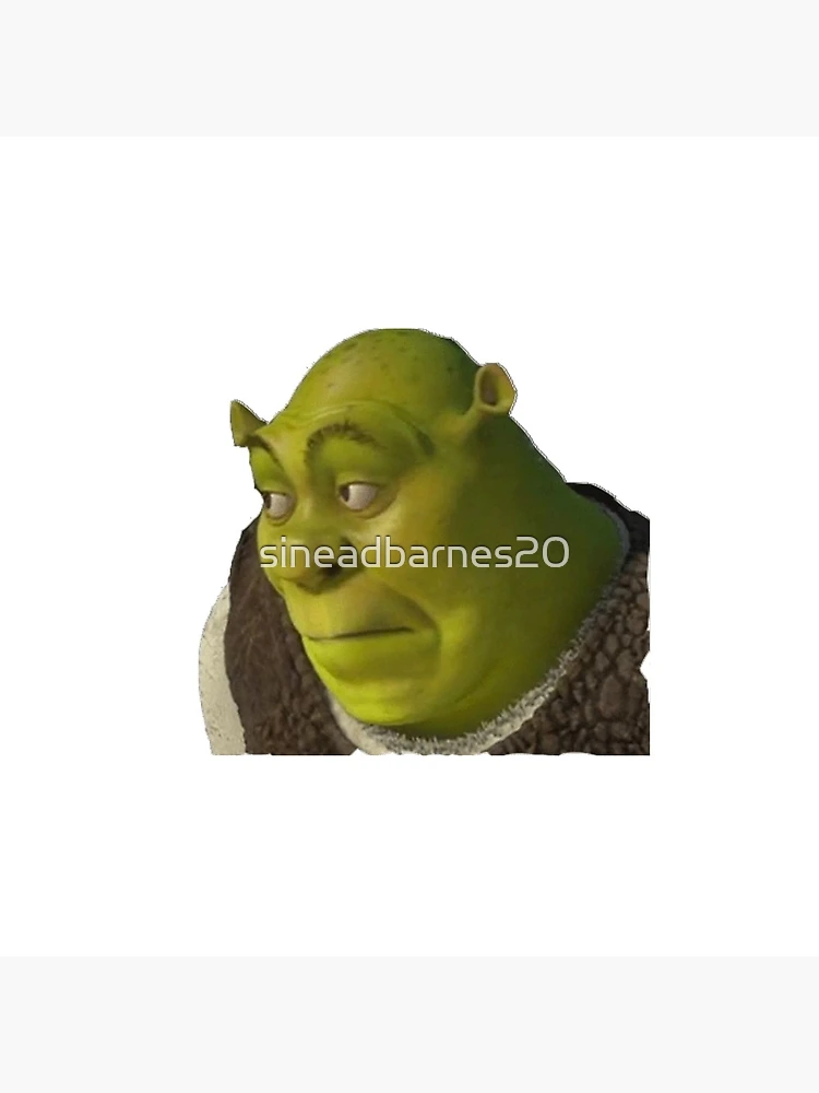 Shrek Insert Face ID:268303