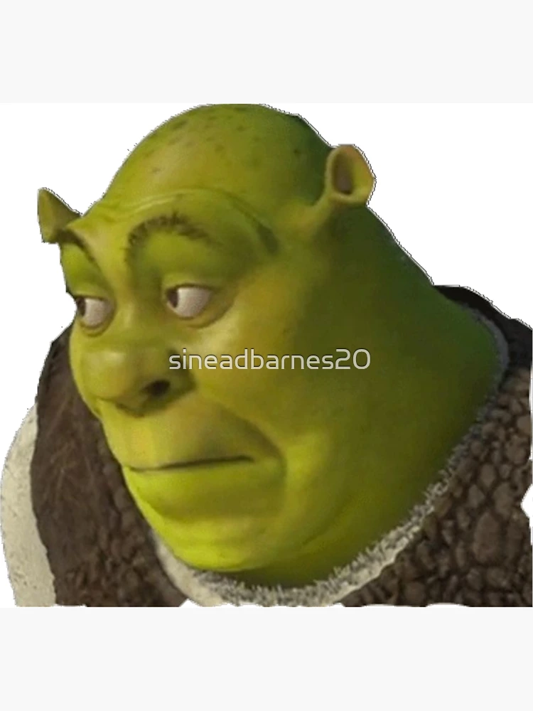 Shrek Insert Face ID:268303