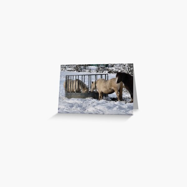 Ponies in the Snow Greeting Card