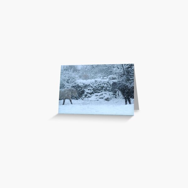 Ponies in Winter Greeting Card