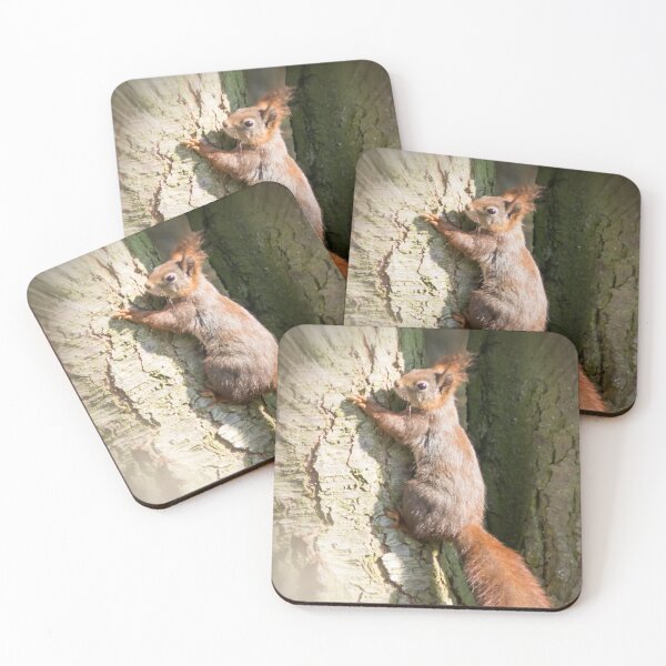 Item preview, squirrel designed and sold by Katja LebenFreude.