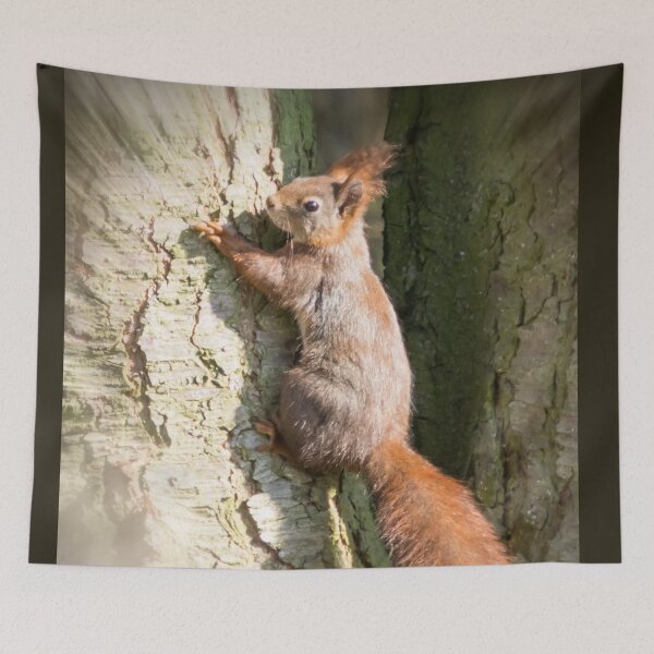 Item preview, squirrel designed and sold by Katja LebenFreude.