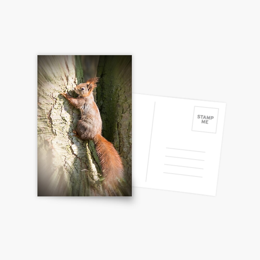 Artikel-Vorschau von Postkarte, designt und verkauft von Igelchen.