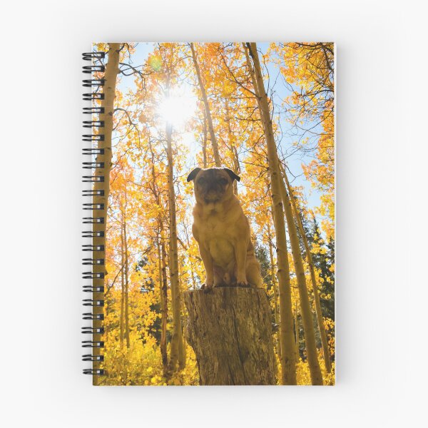 Item preview, Fall Foliage Pug Pedestal designed and sold by pugventurephoto.