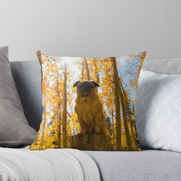 Item preview, Fall Foliage Pug Pedestal designed and sold by pugventurephoto.