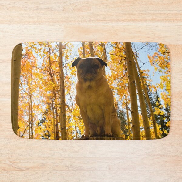 Item preview, Fall Foliage Pug Pedestal designed and sold by pugventurephoto.