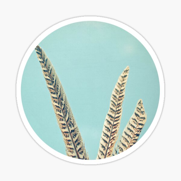 Item preview, Plumes designed and sold by Cassia Beck.