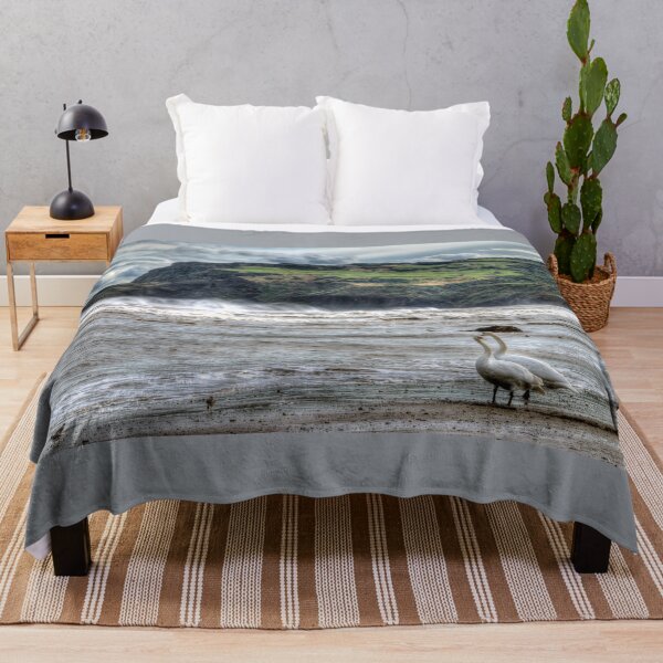 Item preview, Swans on the Beach - Robin Hood's Bay designed and sold by Steve H Clark.