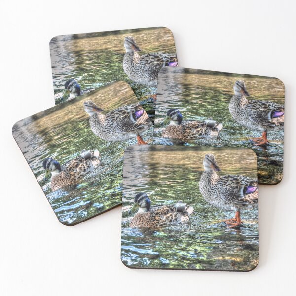 Item preview, Two Little Ducks designed and sold by Steve H Clark.