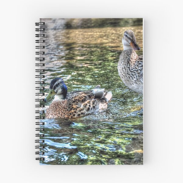 Item preview, Two Little Ducks designed and sold by Steve H Clark.